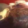 Sally Beauty Supply - human hair, hair glue and the employee that promised me different results - Photo 6