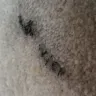 Safestyle UK / Safestyle-Windows.co.uk - fitters causing damage - Photo 1