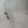 Safestyle UK / Safestyle-Windows.co.uk - fitters causing damage - Photo 2
