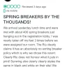 RIU Hotels & Resorts - riu republica spring break policy - Photo 28