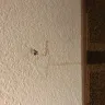 Days Inn - filthy room/rude management - Photo 4
