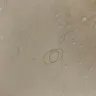 Days Inn - filthy room/rude management - Photo 5