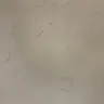 Days Inn - filthy room/rude management - Photo 6