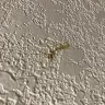 Days Inn - filthy room/rude management - Photo 8