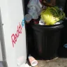 Dollar General - store condition - Photo 4