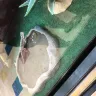 Petco - reptile store - Photo 2