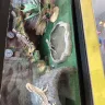 Petco - reptile store - Photo 3