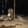 1st Lake Properties / James Favrot / Parker Favrot / Favrot & Shane Companies, Inc. - 1st lake properties love to slaughter animals for fun! - Photo 2