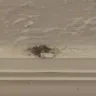 Motel 6 - all of it - Photo 1