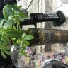Teleflora - saddest money tree ever - Photo 1