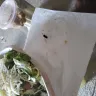 Chipotle Mexican Grill - bowl - Photo 1
