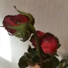 Serenata Flowers - overcharging and delivering dead blooms. charming! - Photo 1