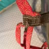 Skechers USA - sketchers reggae sandals - Photo 1