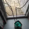 Gardening Express - order (#96775) japanese maple seiryu - Photo 1