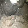 Menards - bears I bought online - Photo 5
