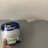 Dulux Paints - duluxe - chic shadow - Photo 3