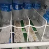 Dollar Tree - unsanitary food storage containers - Photo 4
