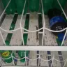 Dollar Tree - unsanitary food storage containers