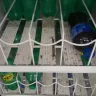 Dollar Tree - unsanitary food storage containers - Photo 5
