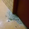 NYC Housing Authority [NYCHA] - I have been on the waiting list since 2011 for 72 columbia street - Photo 1