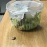 Sheetz - bug in my salad