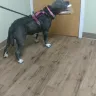 Better Homes And Gardens - better home & garden wax warmer - Photo 3