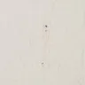 Baymont Inn & Suites - my room was disgusting and I was told not their problem!!! - Photo 4