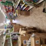 Dollar Tree - The store is always a mess - Photo 4