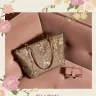 Coach - service - Photo 1
