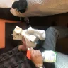 Motel 6 - cleanliness of room / management - Photo 4