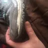 Skechers USA - sneakers - Photo 1