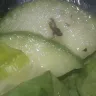 Kroger - insect/fly in prepackaged ready made salad