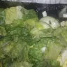 Kroger - insect/fly in prepackaged ready made salad - Photo 4