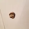 Pizza Hut - human tooth found in my fries I ordered from pizza hut delivery - Photo 1