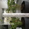 Gardening Express - Supply of plants through groupon - Photo 1