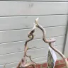 Gardening Express - gardening express plant delivery - Photo 1