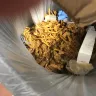 At least 3 or 4 times a week I Aaron Blevins come to open in the morning and there’s multiple trash cans full of food that I gotta dump and my batter corner is almost always absolutely disgusting when I don’t close - n/a - Photo 7