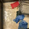At least 3 or 4 times a week I Aaron Blevins come to open in the morning and there’s multiple trash cans full of food that I gotta dump and my batter corner is almost always absolutely disgusting when I don’t close - n/a - Photo 9