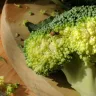 Coles Supermarkets Australia - broccoli - Photo 1