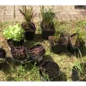Gardening Express - Order #600100841 - Photo 1
