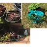 Gardening Express - Order #600100841 - Photo 2