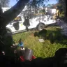 Florida Power & Light [FPL] - fpl drove over my septic drainfield months ago and I havent heard back from them - Photo 3