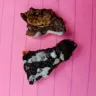 Weight Watchers International - cinnalicious snacks - Photo 1