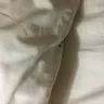Motel 6 - bed bugs - Photo 3