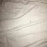 Motel 6 - bed bugs - Photo 5