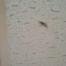 Travelodge - customer service disgusting room conditions - Photo 14