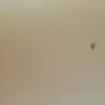 Travelodge - customer service disgusting room conditions - Photo 68