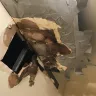 NYC Housing Authority [NYCHA] - ignored repairs - Photo 1