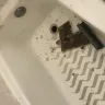 NYC Housing Authority [NYCHA] - ignored repairs - Photo 2