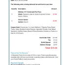 Domino's Pizza - delivery - Photo 1 - update #1909018